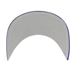 Men's Los Angeles Dodgers '47 Royal Backhaul Foam Trucker Snapback Hat -Baseball Peripherals Store mens 47 royal los angeles dodgers backhaul foam trucker snapback hat ss5 p 5015144pv 5u 5pvgs9yosnymkbajij2av ecqxgkqeliynkp0qogce