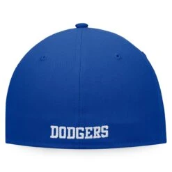 Men's Los Angeles Dodgers Fanatics Branded White/Royal Iconic Color Blocked Fitted Hat -Baseball Peripherals Store royal los angeles dodgers iconic color blocked fitted hat ss5 p 4499317pv 4u ptyenujov8esv3lqqgx6v oeaneh9jzvpcbwmfawcr
