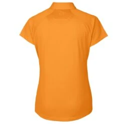 Women's Detroit Tigers Cutter & Buck Orange DryTec Forge Stretch Polo 7 Women's Detroit Tigers Cutter & Buck Orange DryTec Forge Stretch Polo -Baseball Peripherals Store womens cutter and buck orange detroit tigers drytec forge stretch polo ss5 p 200070868pv 3u nvqgkzwlnepkfvkrd4qav 3zarqa50ky333lnqultf